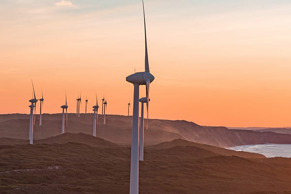 Sunset over a field of windmills