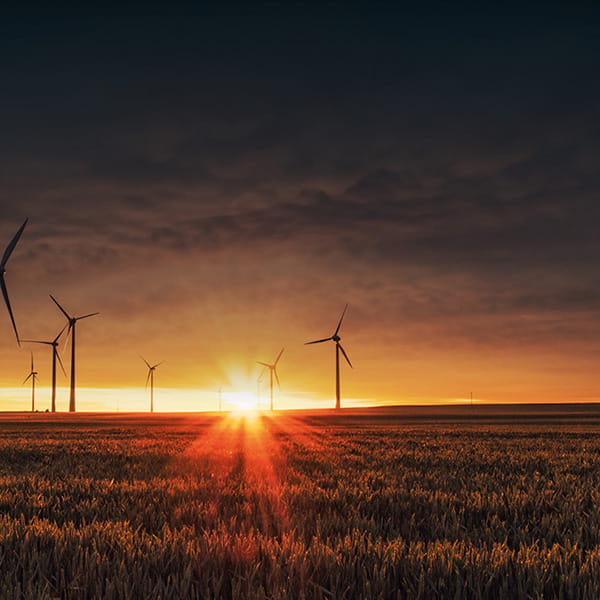 windmills at sunset